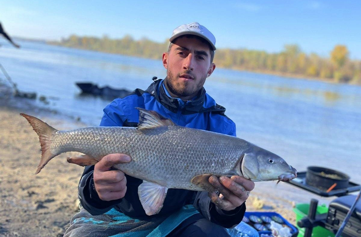 ГОЛЕМИ БЕЛИ МРЯНИ на РЕКА ДУНАВ на ДИВОТО - РИБОЛОВ с ФИДЕР и КОМБИ РИГ