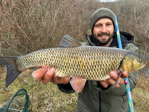 Хванах ТРОФЕЙНА РИБА - ГИГАНТ