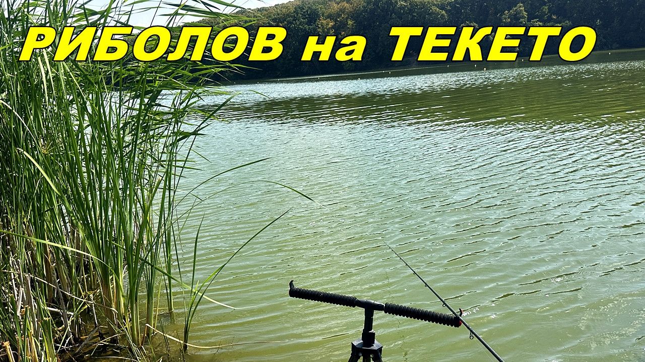 КАРАКУДИ на МЕТОД ФИДЕР от ДИВОТО ЕЗЕРО в с.Николово - Удари и БОНУС ШАРАН Това е Рай за РИБОЛОВЕЦА