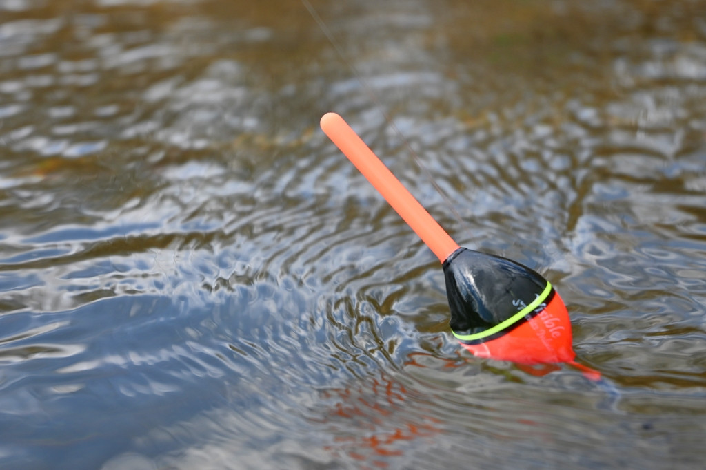 Първи РИБОЛОВ на ИЗТИЧАНЕ през ЕСЕНТА - ХВАНАХМЕ и БОНУС ШАРАНИ на БОЛОНЕЗАТА с ПЛУВКА