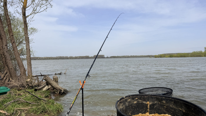 ПРОЛЕТЕН РИБОЛОВ на РЕКА ДУНАВ с ФИДЕР