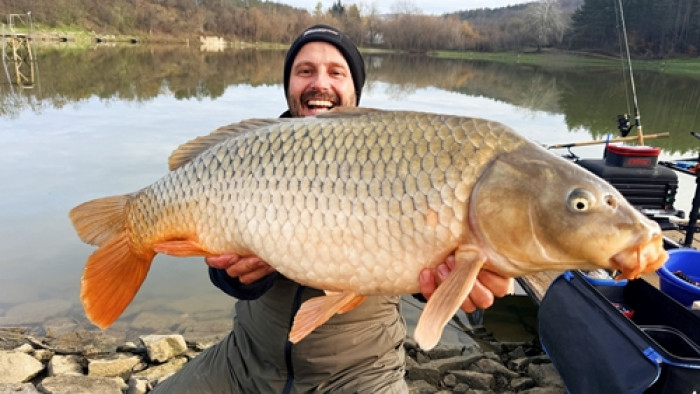 ШАРАНИ на МЕТОД ФИДЕР от ез.СВЕТА ГОРА