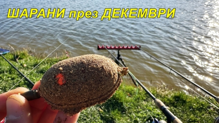 ЗИМЕН РИБОЛОВ на ШАРАНИ с МЕТОД ФИДЕР - КАК да си ПРИГОТВИМ ЗАХРАНКИТЕ и ПЕЛЕТИТЕ ПРАВИЛНО