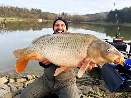 ШАРАНИ на МЕТОД ФИДЕР от ез.СВЕТА ГОРА