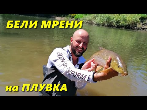 Тестова статия - видео