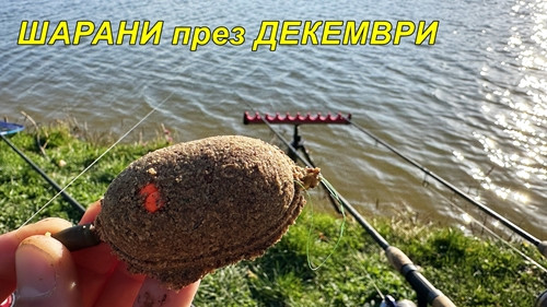 ЗИМЕН РИБОЛОВ на ШАРАНИ с МЕТОД ФИДЕР - КАК да си ПРИГОТВИМ ЗАХРАНКИТЕ и ПЕЛЕТИТЕ ПРАВИЛНО