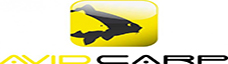 Avid Carp