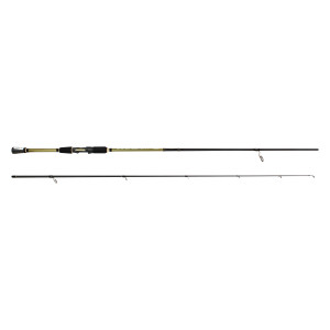 Спининг въдица Filstar - Neo Spin, 2.50 m, 8-40g, златиста