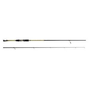 Спининг въдица Filstar - Neo Spin, 2.50 m, 8-40g, златиста