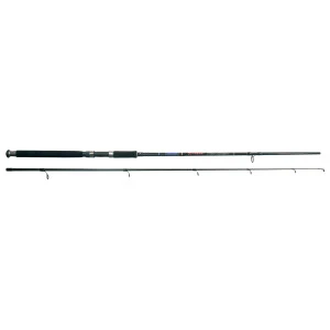 Въдица Filstar - X-Treme FW Spin, 2.40 m, 50-100 g, тъмно зелена