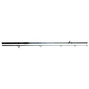 Въдица Filstar - Iron Stick, 2.70 m, 100-300 g