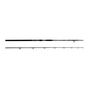 Въдица FilStar Cat Master 2.90m 500g