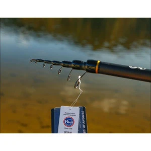 Болонезе Fil Fishing ARIA BOLO - 5.0м до 35гр