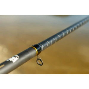 Болонезе Fil Fishing ARIA BOLO - 5.0м до 35гр