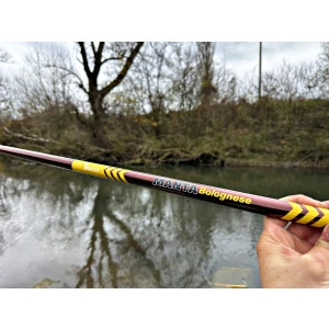 Болонезе Focus MANTA BOLO 5.0м 10-30гр