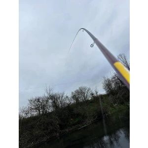 Болонезе Focus MANTA BOLO 6.0м 10-30гр