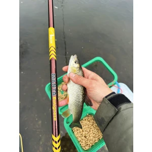 Болонезе Focus MANTA BOLO 6.0м 10-30гр