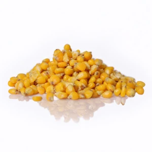 Царевица Troshan Fishing - 800гр