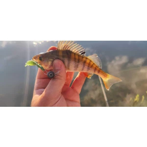 Чебурашка  Filstar с 3D очи