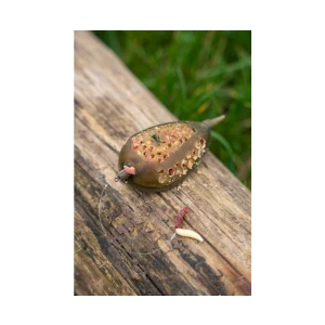 Фидер Хранилка Korum Camo Grub Feeder