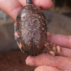 Фидер хранилка KORUM Swivel Grub Feeders - 15гр