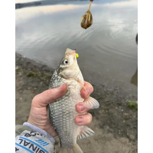 Фидер хранилки Fil Fishing QC METHOD FEEDER PLUS