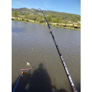 Фидер Въдица Fil Fishing AXEL PRO FEEDER - 3.35м 60гр
