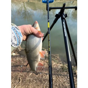 Фидер Въдица Fil Fishing MAJESTIC FEEDER 3.60м/ 20-80гр