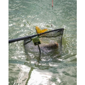 Глава за Кеп Matrix Carp Scoop XL Net - 60x50cm