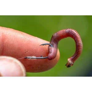 Куки с Контра PRESTON Natural N-60