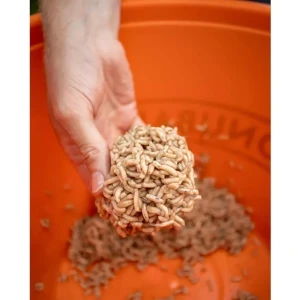 Лепило за бели червеи Troshan Fishing Maggot Fix