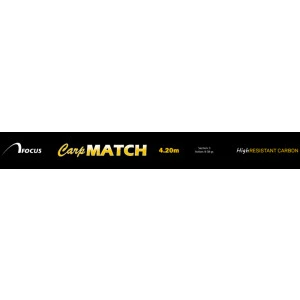 Мач Focus CARP MATCH 4.20м/ 8-38гр