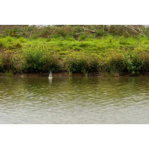 Метод Фидер Хранилка PRESTON ICS In-Line Dura Flat Method - Medium