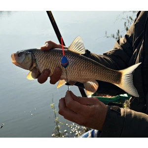 Плувка Troshan Fishing Модел - Янтра