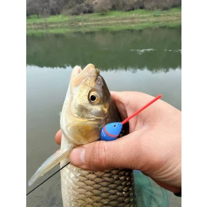 Плувка Troshan Fishing Модел - Янтра