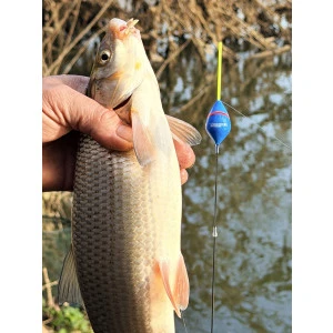 Плувка Troshan Fishing Модел - Янтра