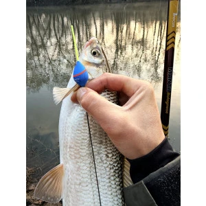 Плувка Troshan Fishing Модел - Янтра