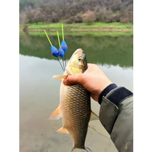 Плувка Troshan Fishing Модел - Янтра