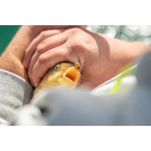 Силиконови рингове Matrix Super Soft Bait Bands Large - 100бр.