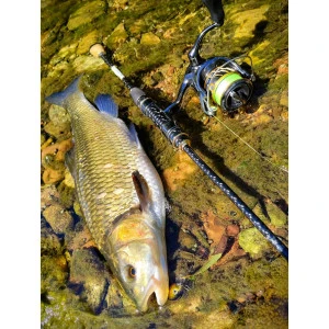 Спининг въдица Filstar - Venom River Crank, 2.04 m, 2-8 g, Extra Fast