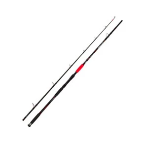 Въдица за риболов на сом MONSTER CATFISH - 2.55м 150-400гр