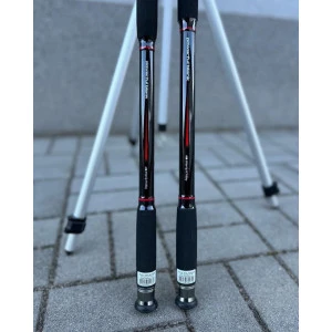 Въдица за риболов на сом MONSTER CATFISH - 2.55м 150-400гр