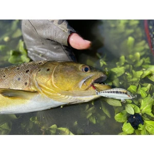 Воблер CountDown Elite Rapala CDE55 - GDMN 5.5см
