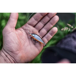 Воблер CountDown Elite Rapala CDE55 - GDSS 5.5см