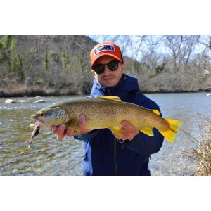 Воблер CountDown Elite Rapala CDE55 - GDVR 5.5см
