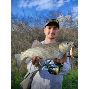 Воблер CountDown Elite Rapala CDE55 - GDVR 5.5см