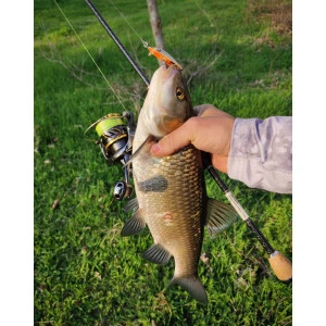 Воблер CountDown Elite Rapala CDE55 - GDVR 5.5см